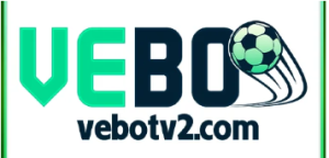 logo footer