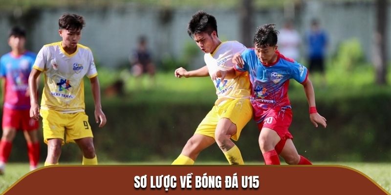 Sơ lược về bóng đá U15